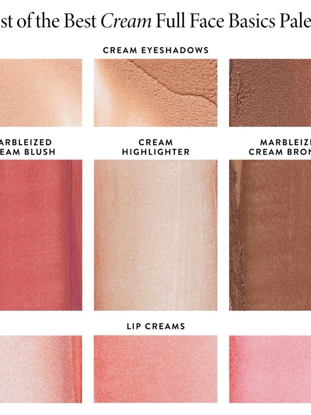 New Laura Geller Set Full Face Basics Palette W/ 2 Brushes